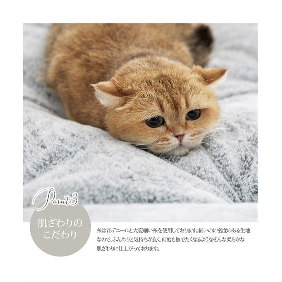福袋 寝具セット 猫Feel 猫フィール 猫と眠る 3点セット ニッセン nissen｜nissenzai｜11